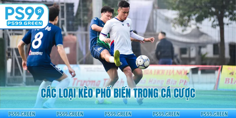 Các loại kèo phổ biến trong cá cược